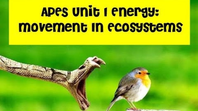 'APES Unit 1 Energy Movement and Food Chains Video'