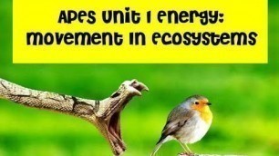 'APES Unit 1 Energy Movement and Food Chains Video'