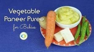 'Weight Gaining Food | 8 Months Baby Food | Vegetable Paneer Puree for Babies'