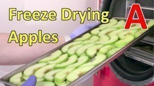 'Freeze Drying Apples'