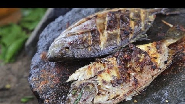 'Primitive Technology Big Fish Frying On The Stone Grilled With Food ingredients'