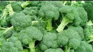 'Freeze Dried Broccoli in my Harvest Right Freeze Dryer and re-hydrsted'