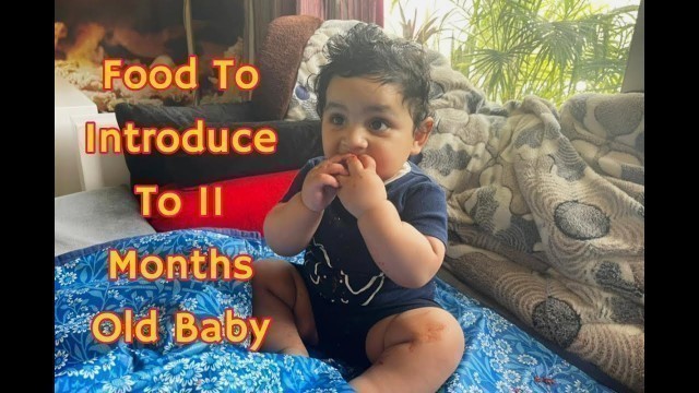 'What Foods Should We Give To 11 Months Old Baby | Food Ideas for 11 Month Old Baby'