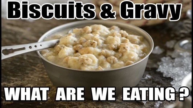 'Biscuits & Gravy (Freeze Dried) - What Are We Eating? - The Wolfe Pit'