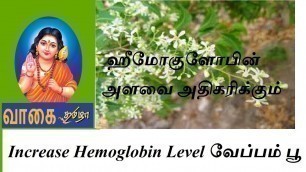 'How to increase Hemoglobin -ஹீமோகுளோபின் அளவை அதிகரிக்கும் வேப்பம் பூ(Neemflower)'