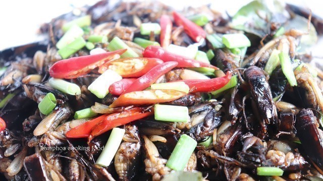 'ចង្រិតលីងងាយៗ - Frying Crickets Recipe | Samphos Cooking Food'