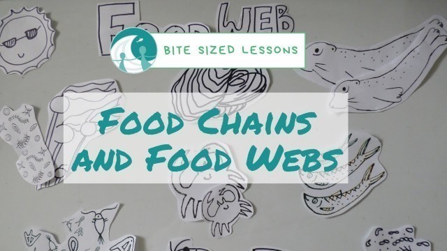 'Food Chains (Bite-Size Lessons)'