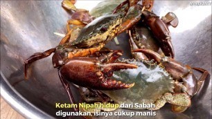 'Malaysian Food - JUICY AND SUCCULENT CRAB dishes from Uncle Crab'