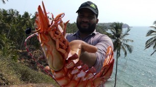 'Big Shrimp Fishing | Prawns Fishing | Prawns Catching Videos street food'