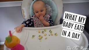 'WHAT MY 12 MONTH OLD EATS IN A DAY| Tres Chic Mama'