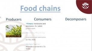 'Food chains - Educational video'