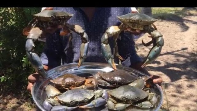 'Big Crab Biryani - Cooking Tasty Biryani with Big Mud Crabs in Our Village'