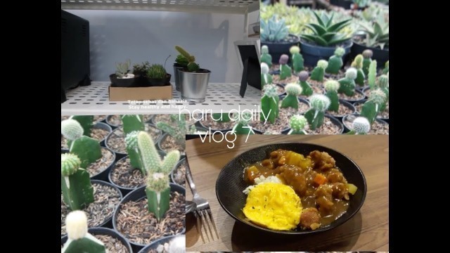 'vlog 7: weekend= bought succulent and cactus, and eating Japanese food.'