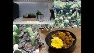 'vlog 7: weekend= bought succulent and cactus, and eating Japanese food.'