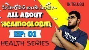 'What is Hemoglobin in Telugu - Hemoglobin Increase Foods - Increase its count, Levels, Effects'