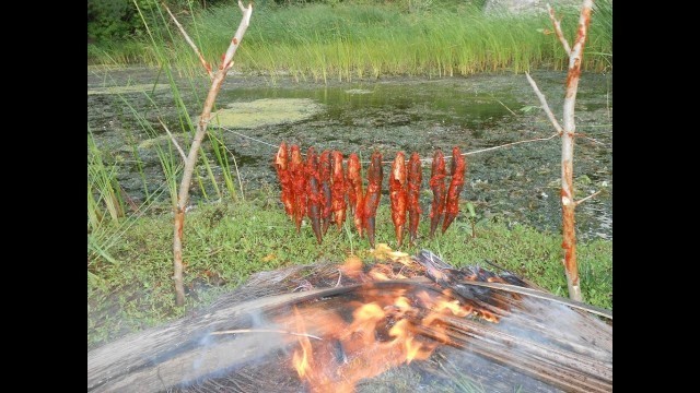 'Cooking River Fish in Steel Wire in My Village - Food Money Food - Village Style Fish Curry'