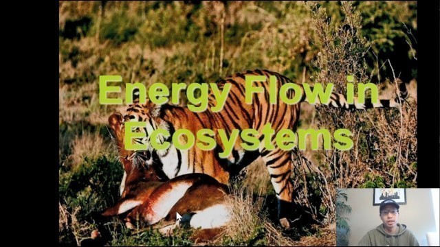 'Biology: Living Earth- A#2: Energy and Food Webs (Mr. Wang\'s Biology class)'