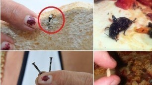 '21 STRANGEST Things Found in Food'