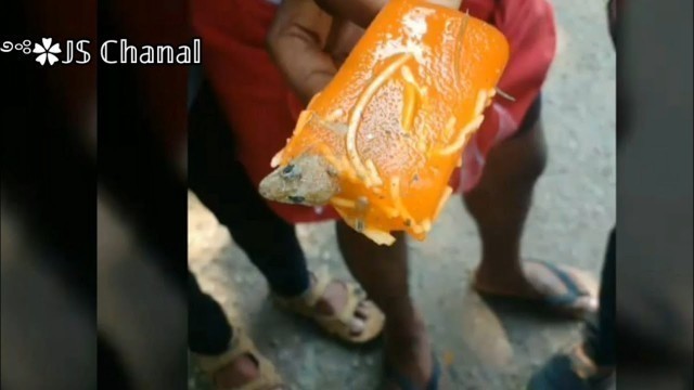 '5 stranger things found in food.খাবারের মধ্যে খুঁজে পাওয়া অস্বাভাবিক কিছু জিনিস।'