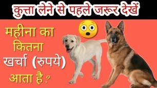 'What is Monthly cost of keeping a dog // कुत्ता लेने से पहले जान लो कितना खर्चा लगेगा महीने का /'