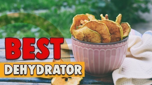 'Best Dehydrator in 2021 – Dry Your Food & Make Tastier!'