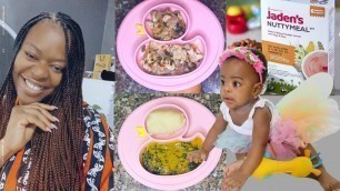 'EVERYTHING I FEED ADANNA IN A DAY | FOOD FOR BABIES OVER 6 MONTHS'