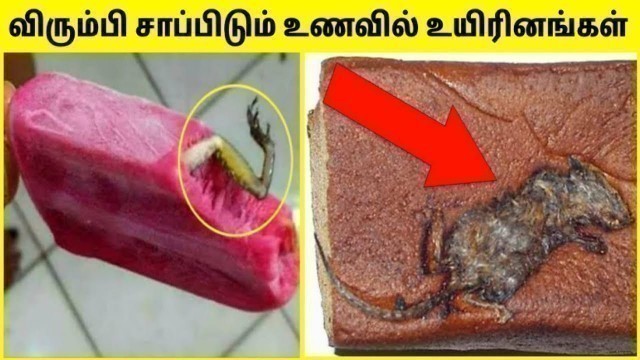 'உணவில் உயிரினங்கள் | Weird Things Found Inside Food | Things Found In Food | TAMIL AMAZING FACTS'