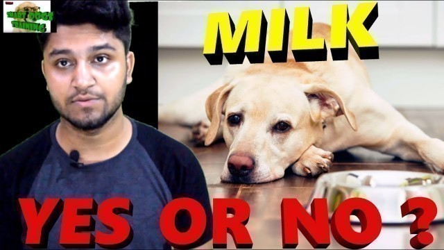 'Milk for Dogs - YES OR NO ? Kya Dog ko दूध Pila Sakte hai |milk feeding to Puppy Care Tips (HINDI)'