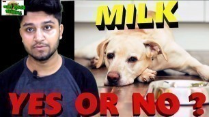 'Milk for Dogs - YES OR NO ? Kya Dog ko दूध Pila Sakte hai |milk feeding to Puppy Care Tips (HINDI)'