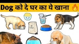 'Dog को दें घर का ये खाना // Healthy Homemade Food For Dogs // VT Unlimited Information'