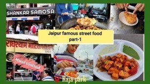 'Jaipur food tour(part-1) India food tour | Shankar samosa | Famous Paneer Tikka | Harshita vlogs'