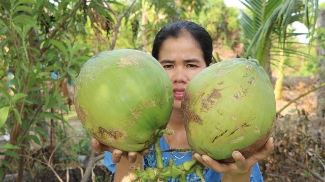 'Cooking Roasted Chicken With Coconut Recipe -  Roasted Chicken Cooking -  Khmer Food TV'