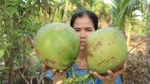 'Cooking Roasted Chicken With Coconut Recipe -  Roasted Chicken Cooking -  Khmer Food TV'