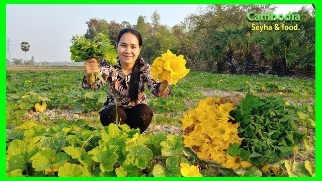 'My Wife Cook with Pumpkin Flower! Khmer Food Recipe With Pumpkin Flower! Green Pumpkin Farm.'