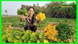 'My Wife Cook with Pumpkin Flower! Khmer Food Recipe With Pumpkin Flower! Green Pumpkin Farm.'