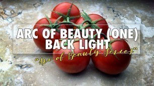 '\"Arc of Beauty\": Lighting for Food, Still Life, and Product Photography (Part One)'