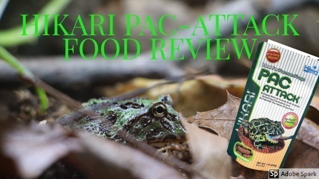 'Hikari Pac Attack Food Review'