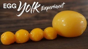 'Giant Egg YOLK Experiment!'