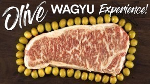 'World’s RAREST STEAK Olive Wagyu vs Japanese A5 WAGYU Beef!'