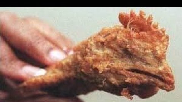 '20 GROSSEST Things Found In Food (REACTION)'