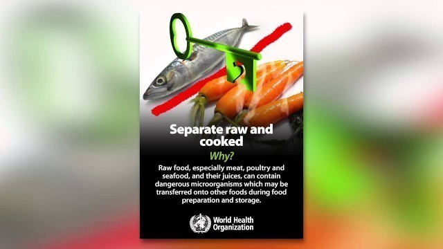 'Banner and poster Five Keys to Safer Food WHO (EN)'