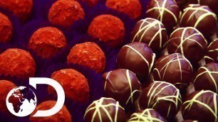 'The Whole Process Of Making Chocolate | How Do They Do It?'