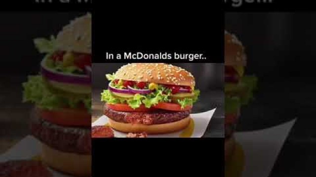 'Weird things found in food….