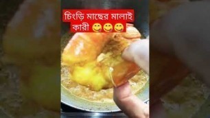 '#চিংড়ি মাছের মালাই কারী #shorts video #cocken #Indian food 