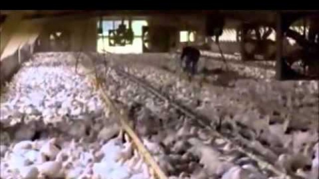 'Food Inc. Preview'