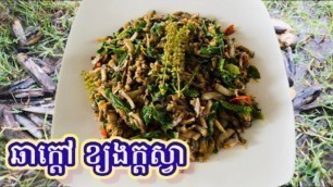 'KH-64 Stir Fry Spicy Monkey Penis Snail Recipe | Khmer Food Delicious | ឆាក្តៅខ្យងក្តស្វា ឆ្ងាញ់ខប់ៗ'