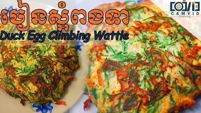 'Easy Pan fry Climbing Wattle recipe with Eggs (Khmer Food) - ចៀនស្អំពងទា- CAMViD - COOKING'