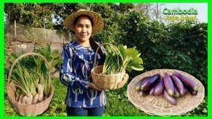 'Delicious Khmer food Recipe In Rural! Picking White Radish And Long Eggplant! Green Village Food.'