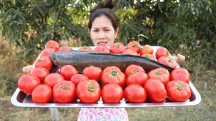 'Cooking Ripe Tomatoes With Fish Recipe -  Tomato Cooking -  Prepare By Khmer Food TV'