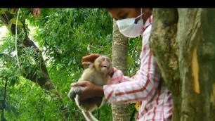 'Rescue Nora from tree baby no food a week feeding baby after helping baby very hungry lovely Nora'